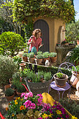 Young woman in the middle of a collection of herbs, vegetable garden, Provence, France