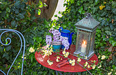 Burning candle in a lantern on a red table, Lilac flowers in a pot and stalks of roses Banks, Garden, Provence, France