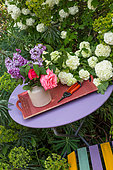 Bouquet of Lilac flowers on a plum table and flowers of Viburnum snowbal and Euphorbia (Euphorbia characias), Provence, France