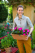 Girl and New Guinea Impatiens (Impatiens hawkeri) in a pottery, Vegetable garden, Provence, France