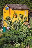 Hut and Artichoke plant, Vegetable garden, Provence, France