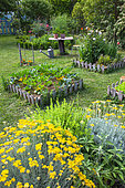 Bartholomew Squares and Aromatic Plants, Vegetable Garden, Provence, France