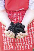 Compost in the hands of a woman