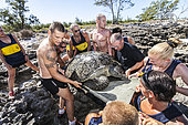 Rescue of a sea turtle that weights 200kg on the Juan de Nova island (Eparses Islands, France) by soldiers from the 2nd Regiment of the Gunner Paratrooper of Tarbes while in a sovereignty mission on the island. They have been helped by the only policeman on the island and were asked by Kelonia to follow the egg-laying of the turtle on the island. A group of soldiers are carrying a green turtle to the sea as it has been caught in the rocks while coming back from egg-laying on the beach. Soldiers are taking over from each other every 45 minutes so the french sovereignty of the island can be guaranteed as it is lusted after by Madagascar. The Eparses Islands give France a 640 000 km2 (whereas it's only 44km2 wide) and an amazing natural and conserving patrimony.Since sea turtles have become a protected species and the trade of their meat and shell has been banned, the “Ferme Corail” in the Reunion Island, specialized in sea turtle farming for human consumption, reinvented itself in 1997 into turtle’s conservation activities. The structure named “KELONIA” grew and is now dedicated to their protection via a health care center that takes in a large number of injured turtles every week in order to heal them and release them in the ocean – after several weeks of treatment in some cases. Kelonia is also trying to put emphasis on the general public’s awareness. That’s why a museum and aquariums with turtles from all around the Reunion seas were created. And, the turtles, which are living within the aquarium, enable the biologists to go further in their studies of those rare species that are difficult to observe in nature. When released, some turtles are thus equipped with Argos beacons thanks to which we can know their movement in the ocean better and so, refine the protection of their natural environment.