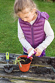 Little girl making cutting from pelargonium