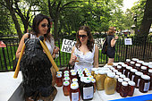 Urban Beekeeping - Andrew Coté sets up in the green and organic markets in the city of New York at Union Square and in Tompkins Square Park to sell his New York bees’ production and also the honey from his 220 hives in Connecticut. USA