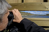 Observation with binoculars from an observation point in the ornithological reserve of Grand Laviers, Baie de Somme, France,