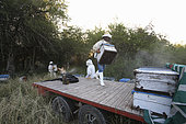 Boatmen's beekeepers of the Parana Delta. The evening before leaving for the islands, Carlos goes to get his hives two hours from Victoria, on a field belonging to a childhood friend, a cattle raiser. Argentina