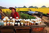 Honey Yellow Peril - Beekeeping and mass tourism on rapeseed field in Luoping, Yunnan. Luoping, Yunnan. The beekeepers offer all the wealth from the hives to the city tourists who discover royal jelly, pollen and different honeys. The most prized is the rape flower honey harvested in front of them. China