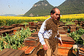 Honey Yellow Peril - Beekeeping and mass tourism on rapeseed field in Luoping, Yunnan. Luoping, Yunnan. Mister Yang Chuan in his apiary during a show to promote the beekeepers set up in Jinji Lin, filmed for a program on the national television's Channel CCTV 4. China