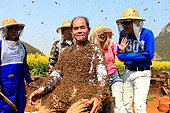 Honey Yellow Peril - Beekeeping and mass tourism on rapeseed field in Luoping, Yunnan. Covered in bees, Mister Yang Chuan tries to smile to the gathered crowd while the anchormen from CCTV4 continue the program with a lot of courage. China