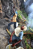 The honey of the untouchables, At the foot of the cliff, part of the team collects the pole and the container full of honey, conditions it for portage. Tamil Nadu, India
