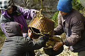 The men responsible for recovering honey are the khudhapup (“khuda” means honey in Rai). They empty the basket into a large, repoussé metal jar before filtering it. Solukumbu, Nepal. The tiger men honey hunting