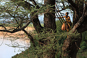 The village of Korcho on the Omo River, a Karo beekeeper gets ready for the harvest. The Honey Tribe, Omo valley, Ethiopia