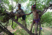 In the land of the Bana tribe, the beekeepers harvest the honey in the middle of the day, unlike the other tribes in the valley, covering their bodies with a repelling plant or clay. The Honey Tribe, Omo valley, Ethiopia