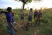 Following the harvest, the honey is shared, The Honey Tribe, Omo valley, Ethiopia