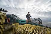 Getting lobster traps ready to be set, Portland