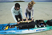 Clare Keating Daly and Ryan Daly, marine biologist and research director of the Arros research center of the "Save our seas" foundation measuring a young Lemon shark (Negaprion brevirostris), St Joseph's Atoll, Seychelles