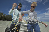 Clare Keating Daly et Ryan Daly, biologiste marin et directeur de recherche du centre de recherche de d'Arros de la fondation "Save our seas" mesurant et marquant un jeune Requin citron (Negaprion brevirostris), Atoll St-Joseph, Seychelles