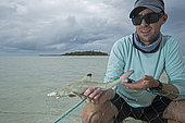 Clare Keating Daly and Ryan Daly, marine biologist and research director of the Arros research center of the "Save our seas" foundation catching a young Blacktip reef shark (Carcharhinus melanopterus), St Joseph's Atoll, Seychelles