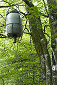 Agorating system used in forest by hunters to attract and kill deer, chamois or deer, Auvergne, France