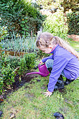 Little girl layering a box tree in a garden