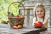 Little girl holding a Tomato 'Coeur de Boeuf'