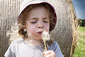 Littel girl blowing dandelion seeds in a meadow