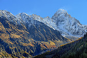 The Aiguille d'Argentière in autumn from the Chamonix Valley, Mont Blanc Massif, Haute Savoie, Alps, France
