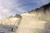 Snowmaking, Autrans ski resort, Meaudre, Massif du Vercors, Alps, France