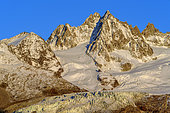 Glacier of the Tour from Les Cheserys, Massif des Aiguilles Rouges, Massif du Mont Blanc, Alps, France