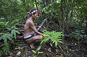 Man presenting a plant, Galanga or Chinese ginger (Alpinia officinarum) used to cure stomach problems, Pulau Siberut, Sumatra, Indonesia