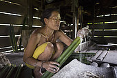 Woman preparing sago, Baitari, 38 years old, Pulau Siberut, Sumatra, Indonesia
