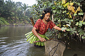 Woman fishing with landing net, Pulau Siberut, Sumatra, Indonesia