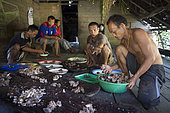 Equal sharing among the clan families of the meat of a wild pig hunted the day before with a spear, Pulau Siberut, Sumatra, Indonesia