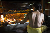 Woman preparing sago, Baitari, 38 years old, Pulau Siberut, Sumatra, Indonesia