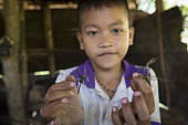 Boy showing the dragonflies he caught, Pulau Siberut, Sumatra, Indonesia