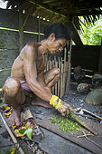 Man making poison for his arrows before hunting, Pulau Siberut, Sumatra, Indonesia