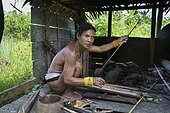 Man making poison for his arrows before hunting, Pulau Siberut, Sumatra, Indonesia