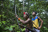 Amantari, 39, accompanied by his son Lagaï, 13, hunting with his bow and poisoned arrows, Pulau Siberut, Sumatra, Indonesia