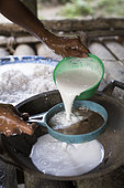 Girl filtering coconut milk using a sieve, Pulau Siberut, Sumatra, Indonesia