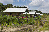 Government house built along the future road linking Moara Siberut to Madobag, Pulau Siberut, Sumatra, Indonesia