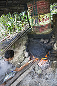Two barrels of gasoline used to carry out the distillation process, Pulau Siberut, Sumatra, Indonesia