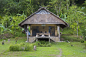 House of the youth in Moara Siberut with tennis table, Pulau Siberut, Sumatra, Indonesia