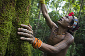 Amantari, 39, a shaman, apologizes to a tree belonging to the Hopea family to tell him that he will need his wood to build a house and that he will soon abbrate it, Pulau Siberut, Sumatra , Indonesia