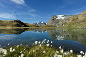 Landscape of the Gran Paradiso National Park, Alps, Italy