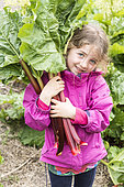 Young girl harvesting rhubarb in a kitchen garden