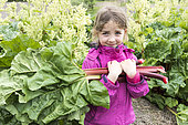 Young girl harvesting rhubarb in a kitchen garden