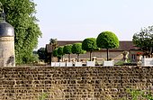 Orange trees in pot - Jardins du Château de Digoine, Palinges