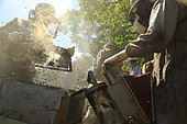 Killers Africanized Honeybees. Les abeilles africanisées ont l’habitude d’attaquer de façon préventive. Elles attaquent en plus grand nombre et suivent leur victime sur des centaines de mètres. Panama